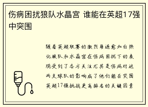 伤病困扰狼队水晶宫 谁能在英超17强中突围